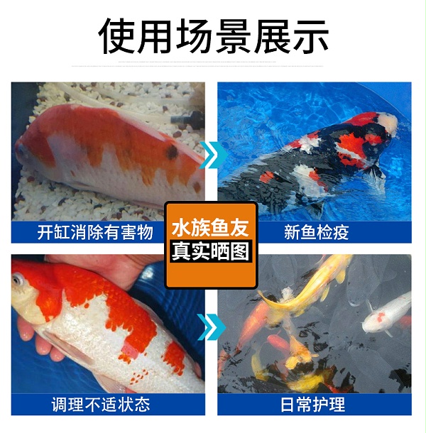 红龙金龙鱼专用药