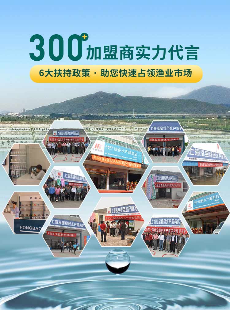 泓宝-6大扶持政策 · 助您快速决胜渔业市场，300+加盟商实力代言